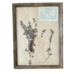 Large French Pressed Vintage Florals with Dark Frame